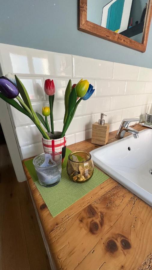 A Casa Di Gia Gia Daire Bolonya Dış mekan fotoğraf